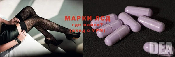 прущие грибы Армянск