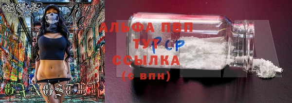 прущие грибы Армянск