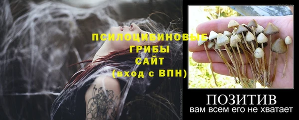 прущие грибы Армянск